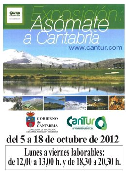 Cartel de la muestra