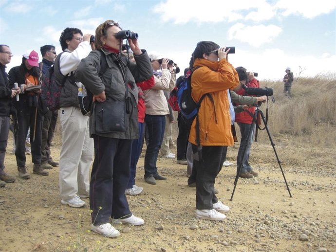 Actividades del Día Mundial de las Aves