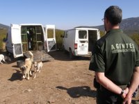 Arranca la temporada de caza con 550 agentes medioambientales