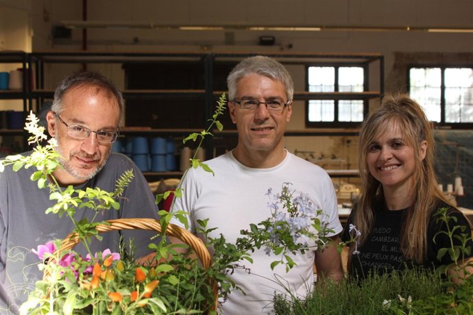 Imagen De La Iniciativa