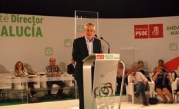 José Antonio Griñán en el Comité Director del PSOE-A