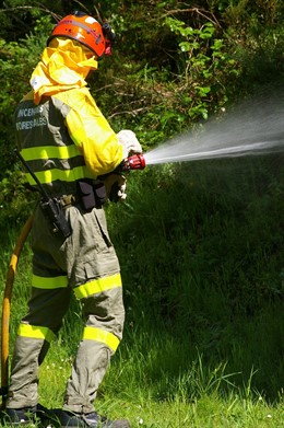 Incendios Forestales