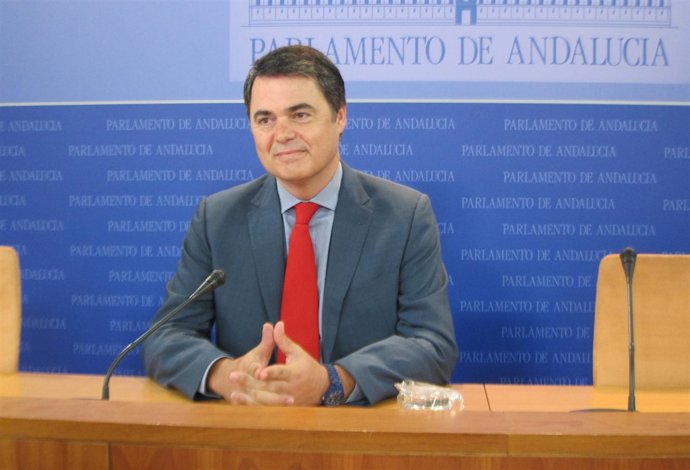 El Portavoz Del Grupo Popular En El Parlamento, Carlos Rojas