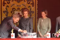 La Reina Doña Sofía preside el 'Día de la Banderita' en la puerta del Congreso