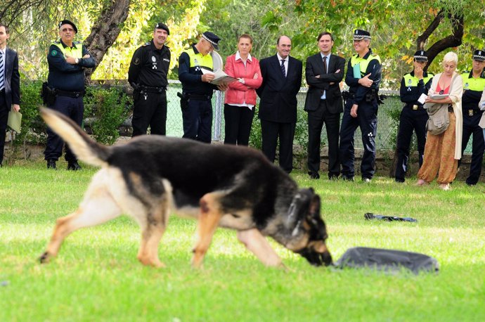 Unidad Canina de la Policía Municipal de Madrid