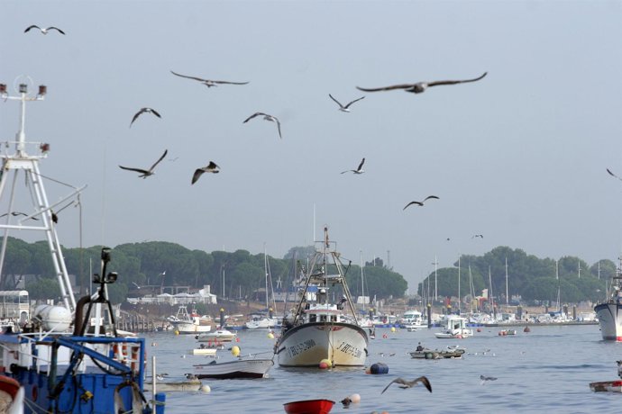 Barcos pesqueros en Huelva