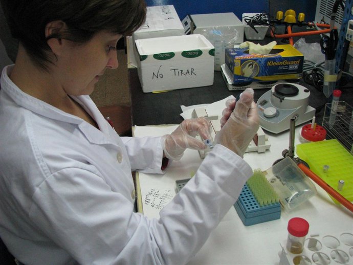 Investigadora del proyecto Oleagen, cofinanciado por CTA, Genoma España e Ifapa.