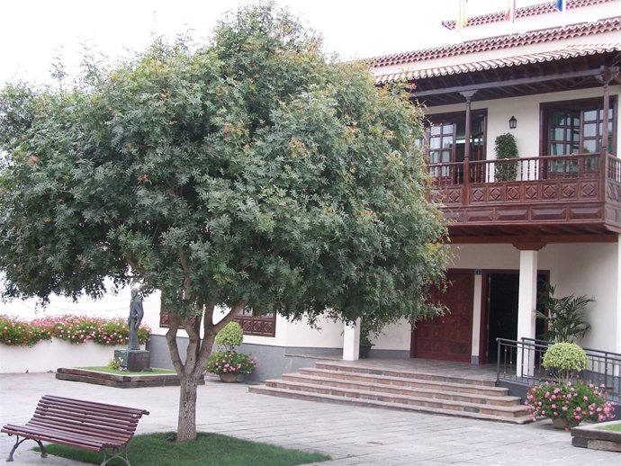 Ayuntamiento De Arona