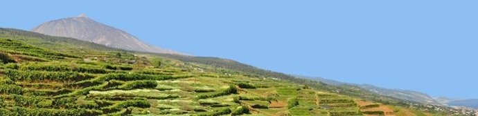 Jornadas vinculación agricultura y turismo