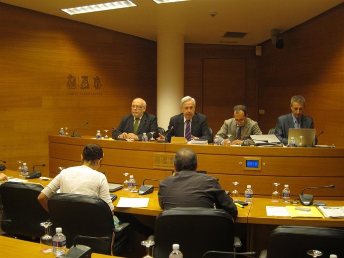 Comsión De La CAM En Las Corts Valencianes