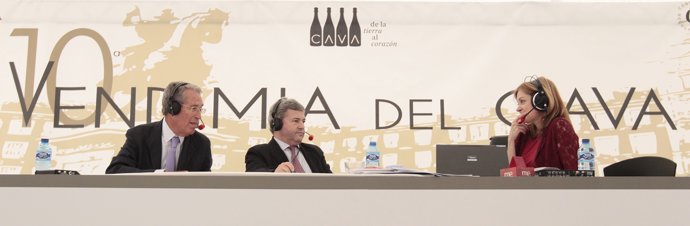 Vendimia del Cava Plaza Mayor