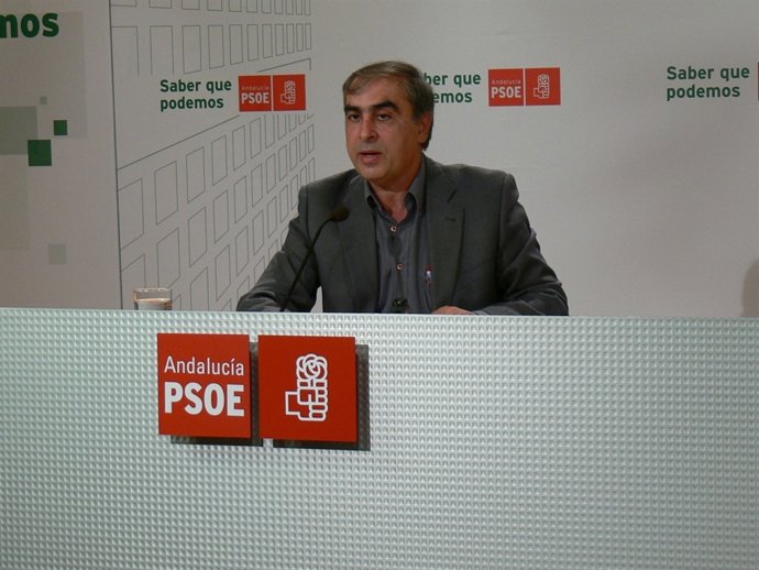 El diputado socialista en el Congreso José Martínez Olmos