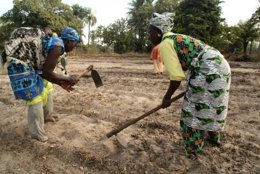 MANOS UNIDAS DÍA DE LA ALIMENTACIÓN