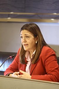 Prestige.- El PSOE dice que el juicio llega tarde y recuerda las responsabilidades políticas y los "hilillos" de Rajoy