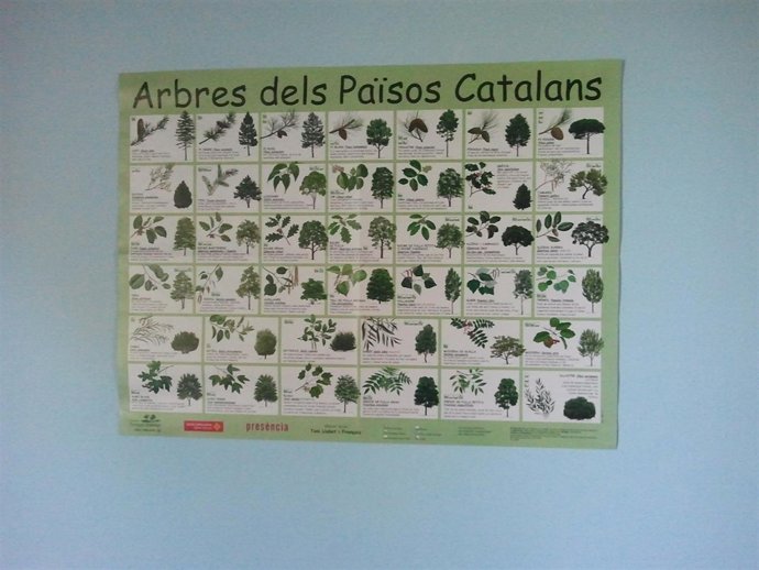 Cartel alusivo a los 'Países Catalanes'  en La Alfranca 