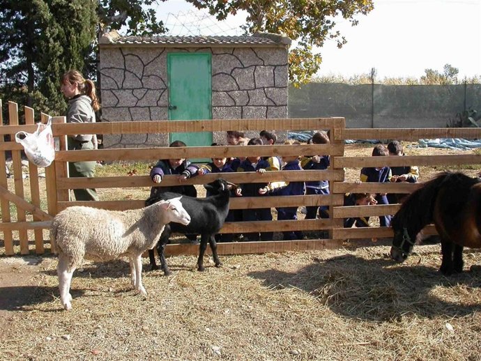 Escolares partipando en actividades
