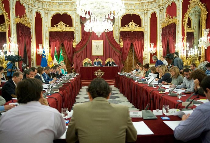 Pleno de la Diputacion de Cádiz