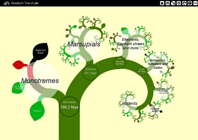 Árbil De La Vida Digital 