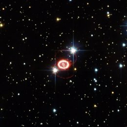 Supernova SN 1987A