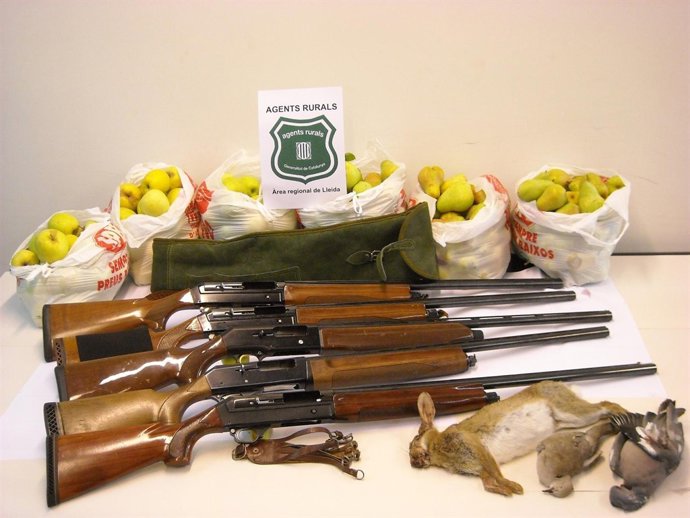 Fruta robada y escopetas intervenidas en Lleida