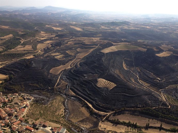 Vista de la zona afectada por el incendio de Aras.