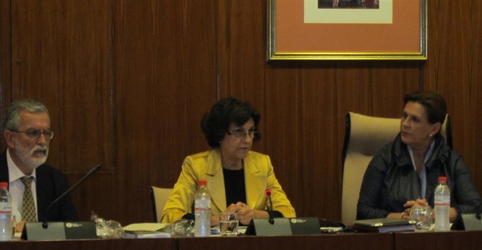 Emelina Fernández, en comisión parlamentaria