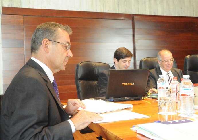 Rivero, en el Consejo de Gobierno