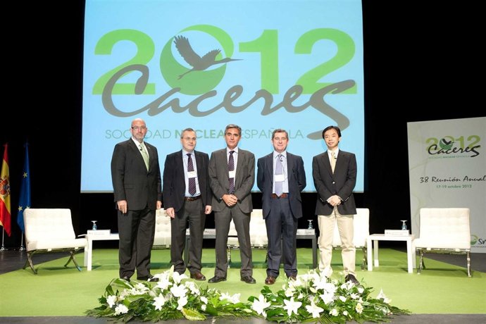 Sociedad Nuclear Española