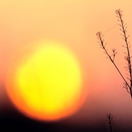 sol cambio climático 