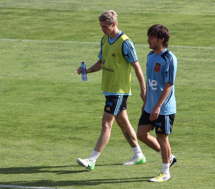 Fernando Torres David Silva selección española 