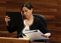 El Gobierno del Principado, dispuesto a comparecer en la Junta General para explicar todo lo relativo al FLA