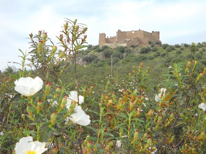 Castillo De Portezuelo (Cáceres)