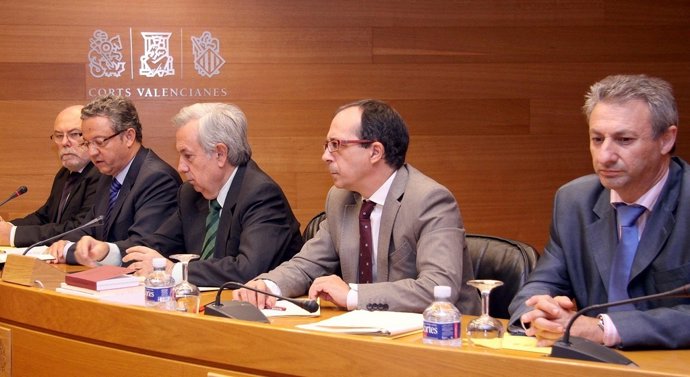 Francisco Martínez (En El Centro) En La Comisión De La CAM