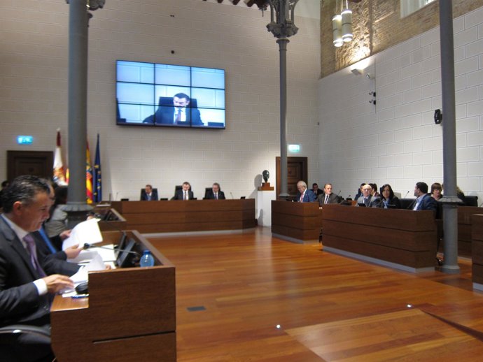 Pleno de la Diputación Provincial de Zaragoza (DPZ)