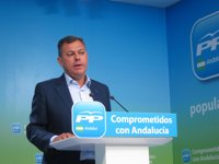 PP-A defiende su "no permanencia" en la FAMP y asegura que no espera "ningún tipo de ofrecimiento" por parte del PSOE-A