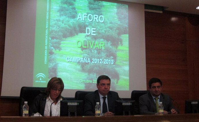Planas, junto a Gálvez y Reyes, presenta el primer aforo del olivar 2012/13.