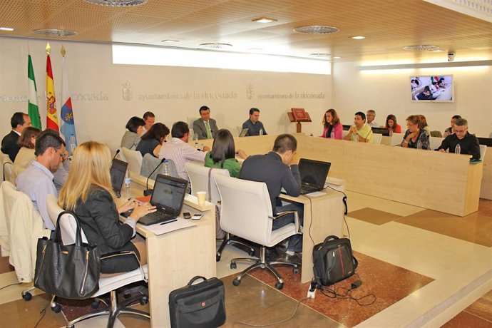 Pleno de La Rinconada.