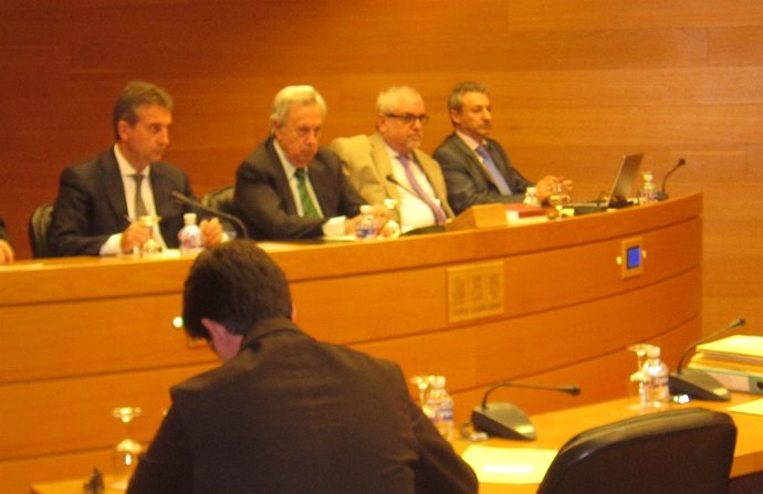 Pina, Primero Por La Izquierda, En La Comisión De La CAM En Las Corts