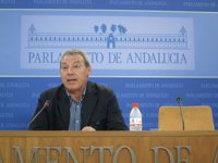 PSOE-A solicitará a la Mesa del Parlamento que cambie la fecha del Pleno para que no coincida con la huelga general