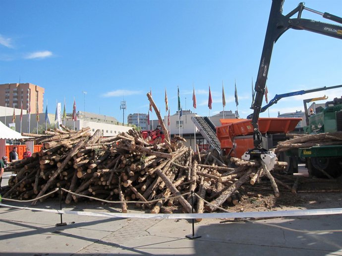 Expositor en Expobioenergía
