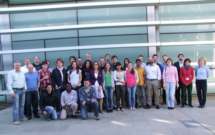 Equipo Científico Del Proyecto 'Stategra'