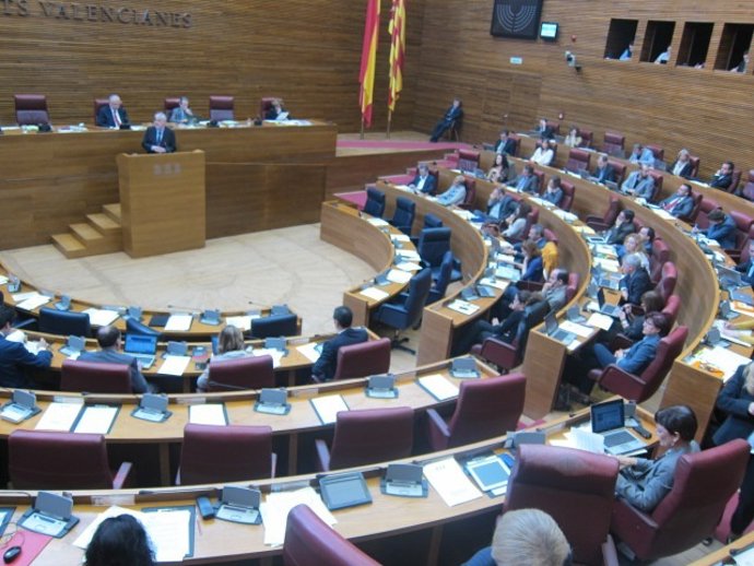 Debate En El Pleno De Las Corts