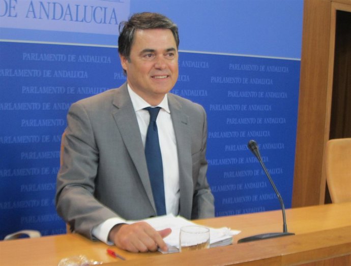 El portavoz del PP-A en el Parlamento, Carlos Rojas, hoy