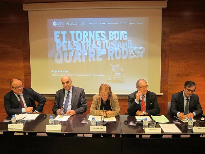 Presentación del programa piloto Auriga