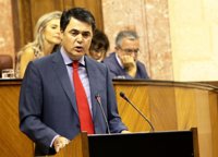 PP-A pide a la Junta que explique sus presupuestos, en vez de estar "permanentemente" criticando los del Gobierno