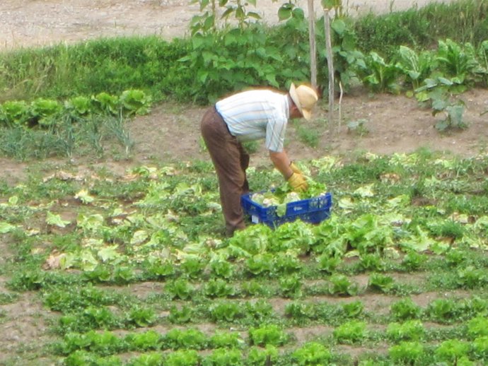 Los pagos comienzan este jueves
