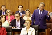 Zoido pide a Griñán que haya una disculpa al PP-A tras la condena de Rivas