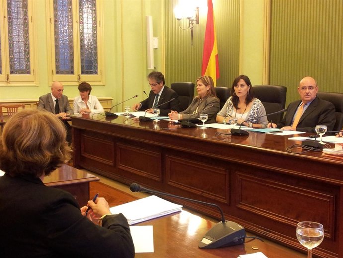 Rafael Bosch Comparece En La Comisión De Cultura, Educación Y Deportes