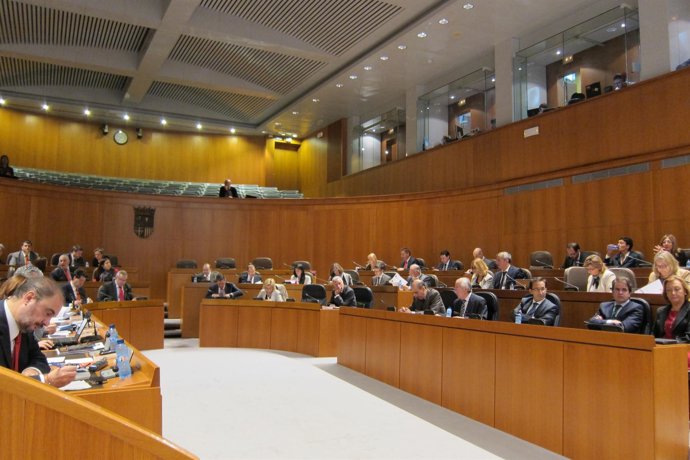 Pleno de las Cortes de Aragón