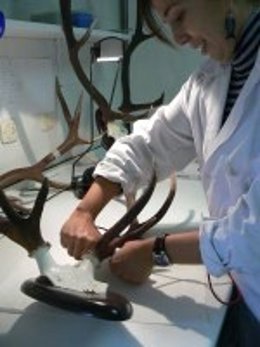 Universidad de Extremadura